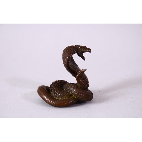 119 - A JAPANESE BRONZE MODEL OF A COBRA SNAKE, intertwined, signed, 4.5cm.