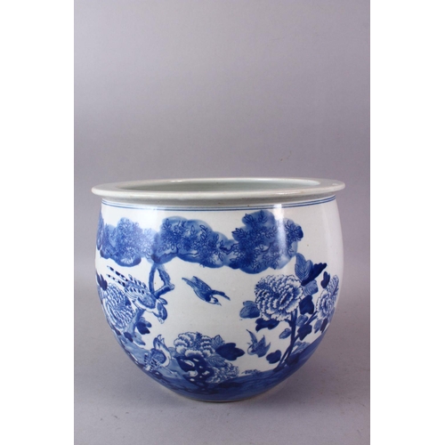 142 - A CHINESE BLUE AND WHITE JARDINIERE, painted with birds amongst native flora, 23cm high, 28cm diamet... 