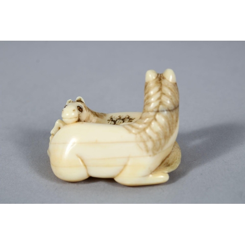 157 - A GOOD JAPANESE MEIJI PERIOD CARVED IVORY NETSUKE OF A RECUMBENT HORSE, to horses in a recumbent pos... 