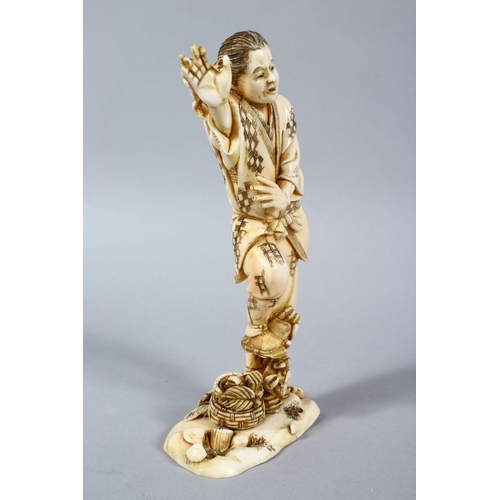 158 - A GOOD JAPANESE MEIJI PERIOD CARVED IVORY OKIMONO OF A FISHERMAN & CRABS, the fisherman stood aside ... 