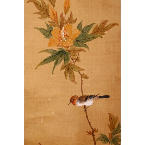 23 - FOUR SMALL CHINESE SCROLL PAINTINGS, depicting birds on branches (AF), largest image 95cm x 29cm.