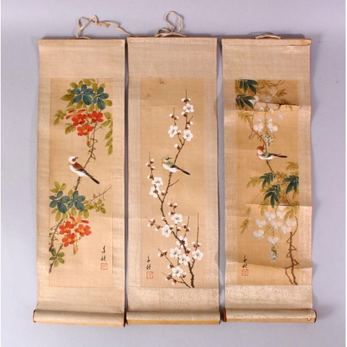 23 - FOUR SMALL CHINESE SCROLL PAINTINGS, depicting birds on branches (AF), largest image 95cm x 29cm.