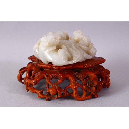 244 - A GOOD CHINESE CARVED WHITE JADE FIGURE OF THREE LION & BOXWOOD STAND, one larger dog with two young... 