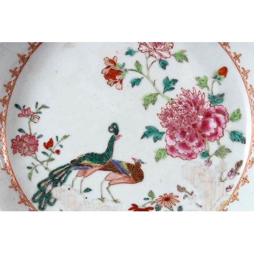 261 - A PAIR OF 18TH CENTURY CHINESE FAMILLE ROSE CIRCULAR PLATES, painted with flowers and peacocks, 23cm... 