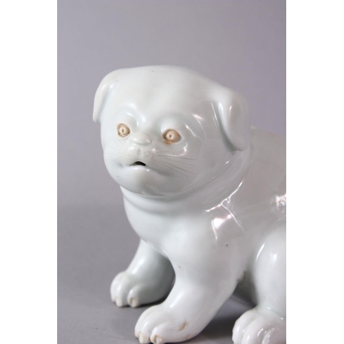 293 - A 19TH CENTURY JAPANESE HIRADO PORCELAIN MODEL OF A PUPPY in a seated pose, 10cm high, 13cm wide.