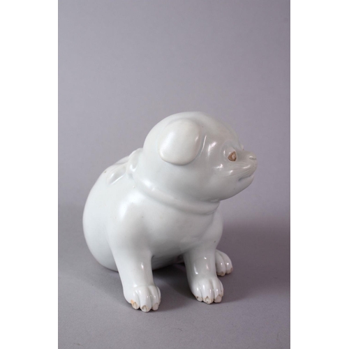 293 - A 19TH CENTURY JAPANESE HIRADO PORCELAIN MODEL OF A PUPPY in a seated pose, 10cm high, 13cm wide.