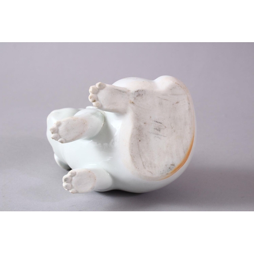 293 - A 19TH CENTURY JAPANESE HIRADO PORCELAIN MODEL OF A PUPPY in a seated pose, 10cm high, 13cm wide.