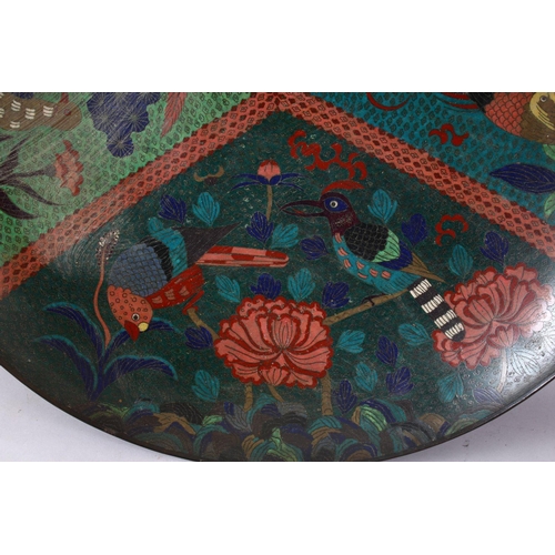 295 - A LARGE 19TH CENTURY ORIENTAL CLOISONNE CHARGER, with tri-sectional decoration of birds and flora, 6... 