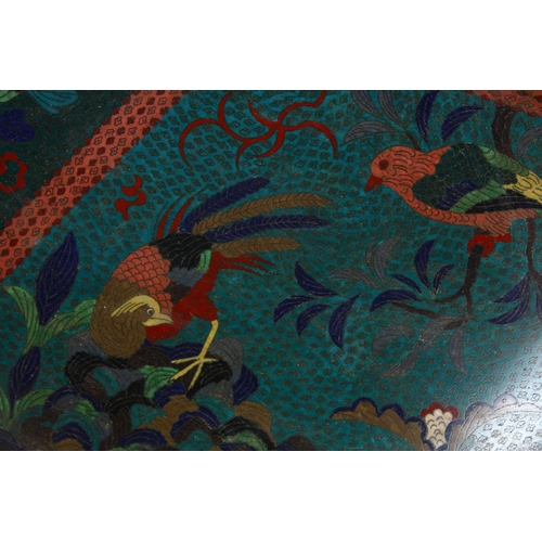 295 - A LARGE 19TH CENTURY ORIENTAL CLOISONNE CHARGER, with tri-sectional decoration of birds and flora, 6... 