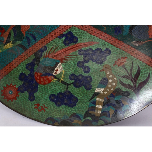 295 - A LARGE 19TH CENTURY ORIENTAL CLOISONNE CHARGER, with tri-sectional decoration of birds and flora, 6... 