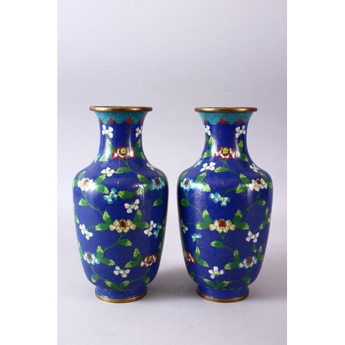 311 - A GOOD PAIR OF 19TH/20TH CENTURY CHINESE CLOISONNE VASES, with native displays of flora upon powder ... 