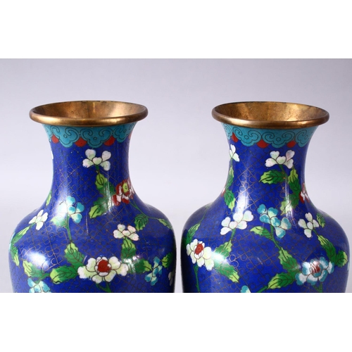 311 - A GOOD PAIR OF 19TH/20TH CENTURY CHINESE CLOISONNE VASES, with native displays of flora upon powder ... 