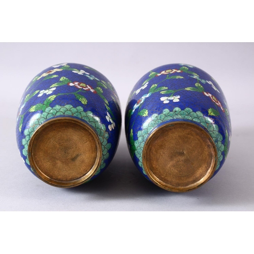 311 - A GOOD PAIR OF 19TH/20TH CENTURY CHINESE CLOISONNE VASES, with native displays of flora upon powder ... 