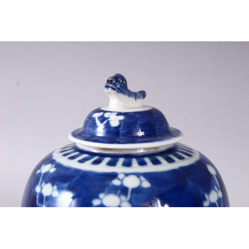 42 - A 19TH / 20TH CENTURY CHINESE BLUE & WHITE PORCELAIN PRUNUS GINGER JAR & COVER, with prunus decorati... 