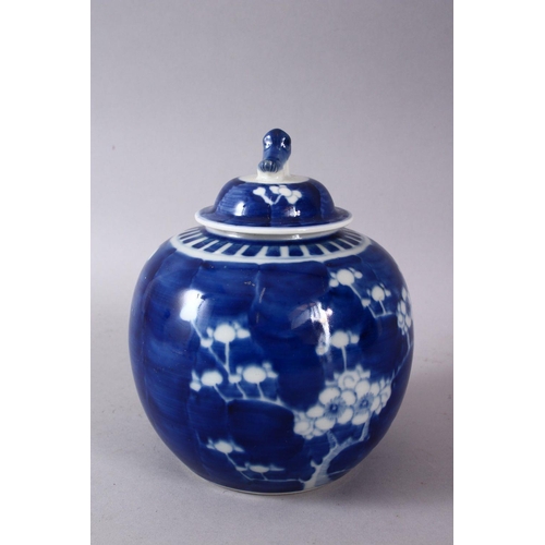 42 - A 19TH / 20TH CENTURY CHINESE BLUE & WHITE PORCELAIN PRUNUS GINGER JAR & COVER, with prunus decorati... 