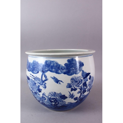 109 - A CHINESE BLUE AND WHITE JARDINIERE, painted with birds amongst native flora, 23cm high, 28cm diamet... 