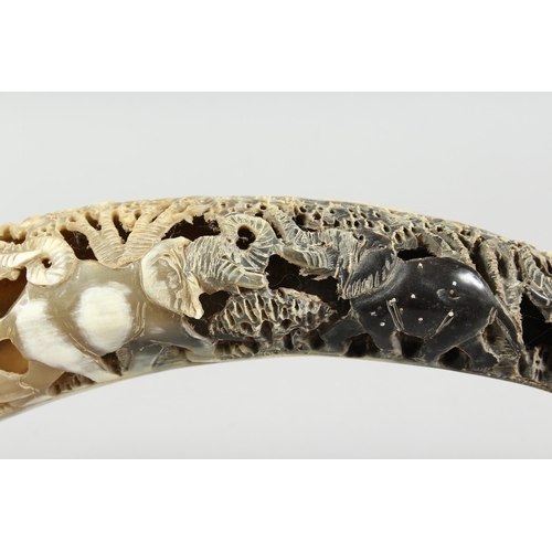 12 - A BOVINE HORN carved with elephants, 18 in. long.