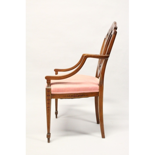 218 - A SHERATON REVIVAL PAINTED SATINWOOD ARMCHAIR