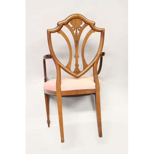 218 - A SHERATON REVIVAL PAINTED SATINWOOD ARMCHAIR