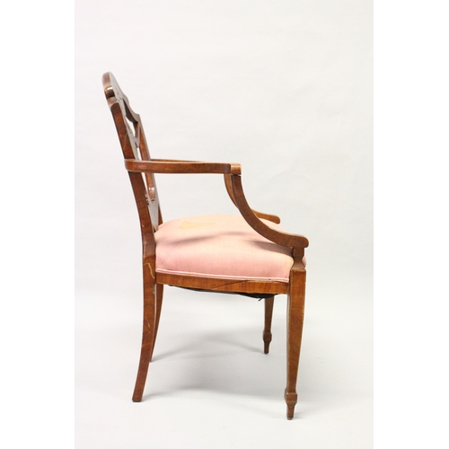 219 - A SHERATON REVIVAL PAINTED SATINWOOD ARMCHAIR