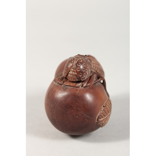 335 - A JAPANESE CARVED WOOD FRUIT BOTTLE