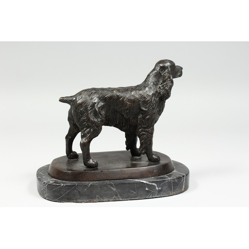 346 - A BRONZE SPANIEL on a marble base, 6 ins long.