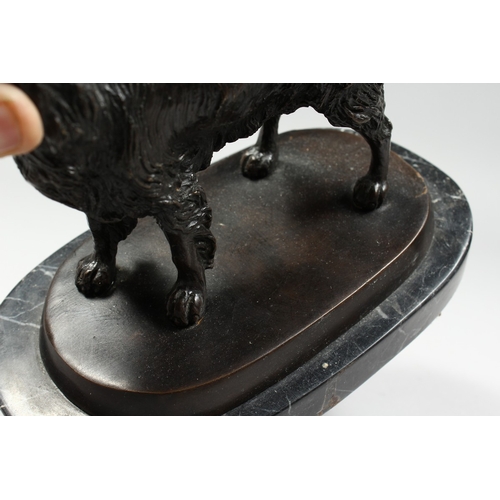 346 - A BRONZE SPANIEL on a marble base, 6 ins long.