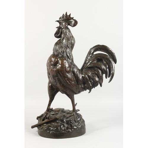 357 - GEORGES LUCIEN VACOSSIN (1870-1942) FRENCH A SUPERB LARGE BRONZE CROWING COCKEREL, standing on a bas... 