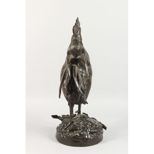 357 - GEORGES LUCIEN VACOSSIN (1870-1942) FRENCH A SUPERB LARGE BRONZE CROWING COCKEREL, standing on a bas... 