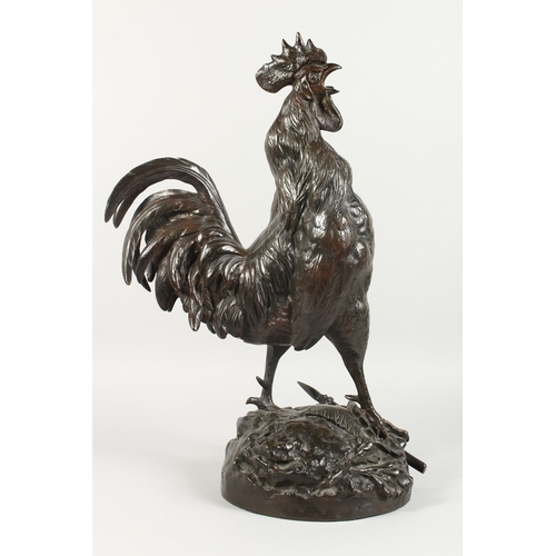 357 - GEORGES LUCIEN VACOSSIN (1870-1942) FRENCH A SUPERB LARGE BRONZE CROWING COCKEREL, standing on a bas... 