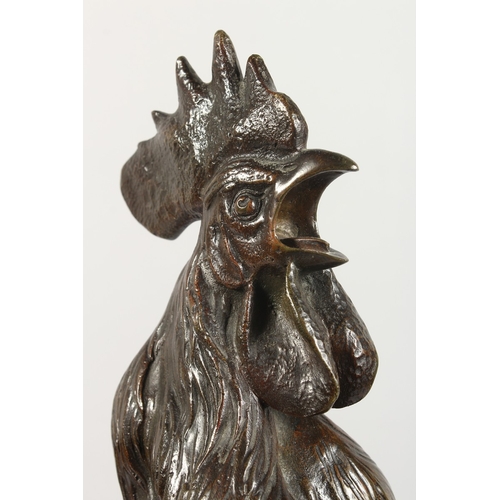 357 - GEORGES LUCIEN VACOSSIN (1870-1942) FRENCH A SUPERB LARGE BRONZE CROWING COCKEREL, standing on a bas... 