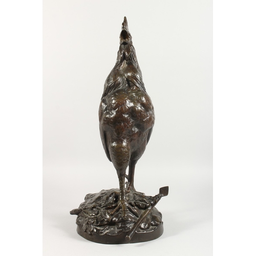 357 - GEORGES LUCIEN VACOSSIN (1870-1942) FRENCH A SUPERB LARGE BRONZE CROWING COCKEREL, standing on a bas... 