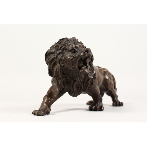 358 - A BRONZE SNARLING LION 12 ins long.