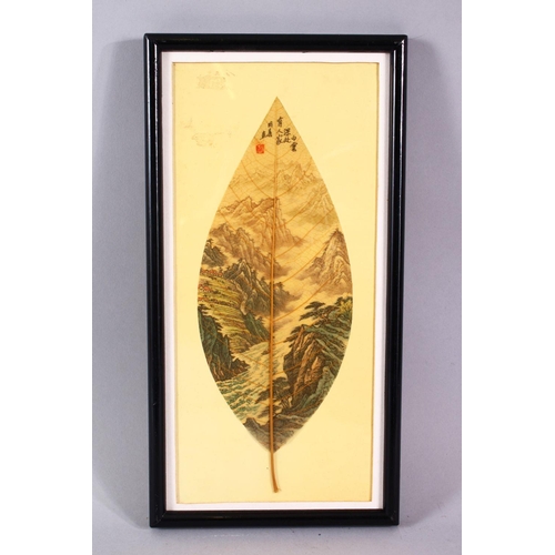 Lot 79        