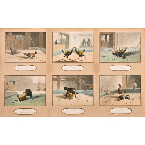 126 - After Alken, a set of six lithographs of cock fighting scenes, shown in a single mount, visible size... 