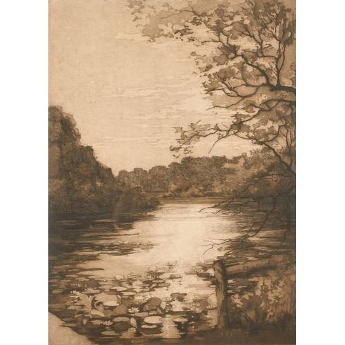 132 - Daisy M Norrie (b.1899) British, Pembroke Castle and another of hilly ponds, etchings, signed and in... 