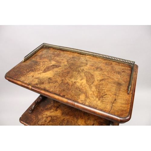 1039 - A GOOD VICTORIAN FIGURED WALNUT CUPBOARD with brass gallery, mirrored back over a pair of silk lined... 