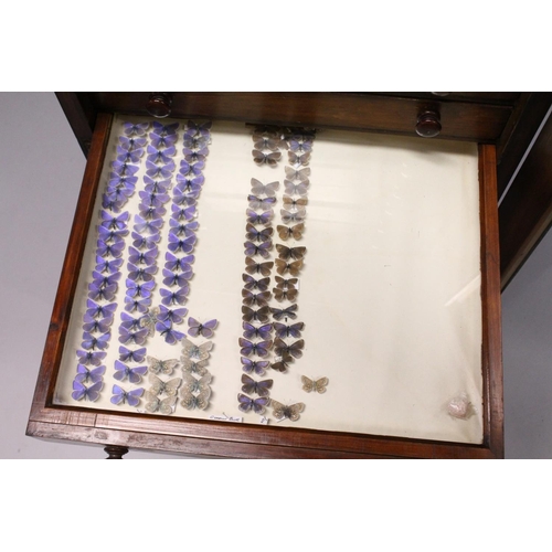 1061 - A VERY GOOD VICTORIAN MAHOGANY COLLECTORS CABINET, with glass front door enclosing 14 glass top draw... 