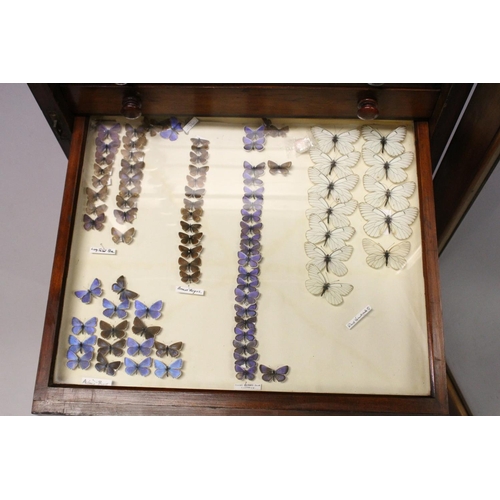 1061 - A VERY GOOD VICTORIAN MAHOGANY COLLECTORS CABINET, with glass front door enclosing 14 glass top draw... 