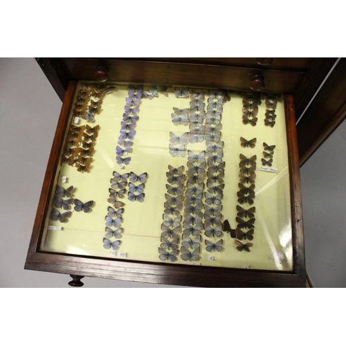 1061 - A VERY GOOD VICTORIAN MAHOGANY COLLECTORS CABINET, with glass front door enclosing 14 glass top draw... 