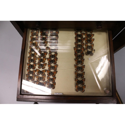 1061 - A VERY GOOD VICTORIAN MAHOGANY COLLECTORS CABINET, with glass front door enclosing 14 glass top draw... 