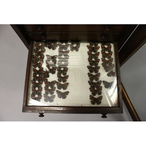 1061 - A VERY GOOD VICTORIAN MAHOGANY COLLECTORS CABINET, with glass front door enclosing 14 glass top draw... 