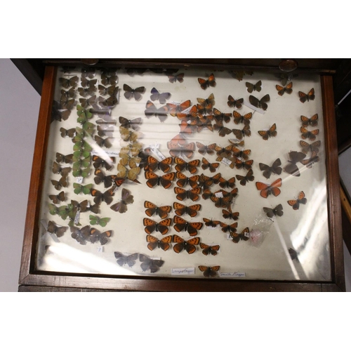 1061 - A VERY GOOD VICTORIAN MAHOGANY COLLECTORS CABINET, with glass front door enclosing 14 glass top draw... 