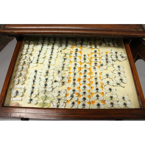 1061 - A VERY GOOD VICTORIAN MAHOGANY COLLECTORS CABINET, with glass front door enclosing 14 glass top draw... 