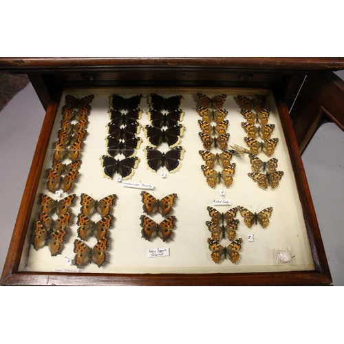 1061 - A VERY GOOD VICTORIAN MAHOGANY COLLECTORS CABINET, with glass front door enclosing 14 glass top draw... 