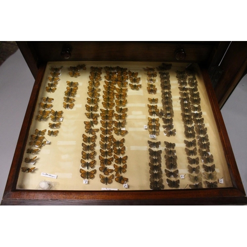 1061 - A VERY GOOD VICTORIAN MAHOGANY COLLECTORS CABINET, with glass front door enclosing 14 glass top draw... 