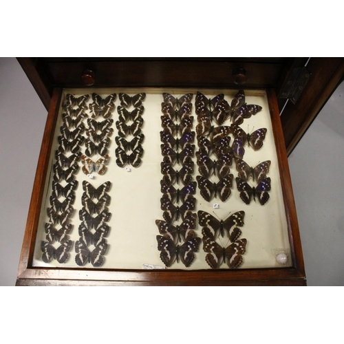 1061 - A VERY GOOD VICTORIAN MAHOGANY COLLECTORS CABINET, with glass front door enclosing 14 glass top draw... 