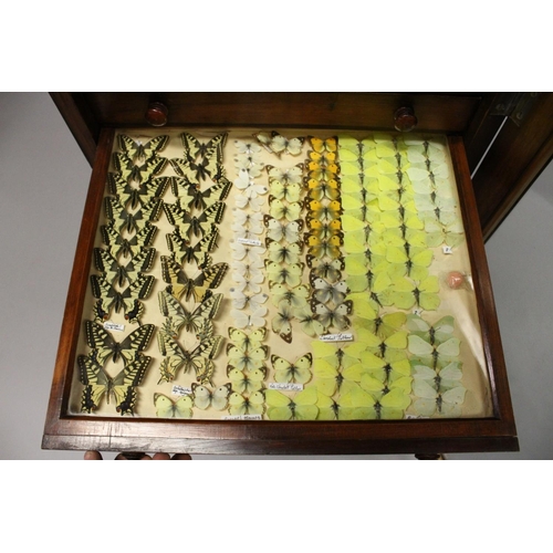 1061 - A VERY GOOD VICTORIAN MAHOGANY COLLECTORS CABINET, with glass front door enclosing 14 glass top draw... 