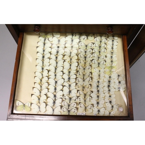 1061 - A VERY GOOD VICTORIAN MAHOGANY COLLECTORS CABINET, with glass front door enclosing 14 glass top draw... 