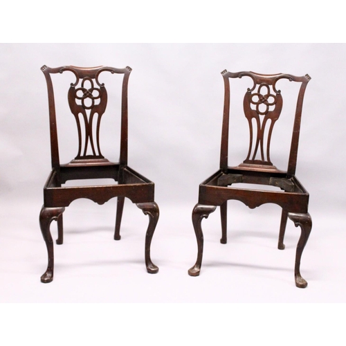 Lot 1028      
